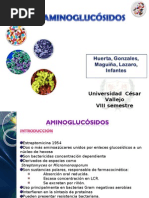 Expo Aminoglucosidos