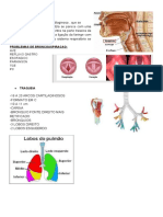 PNEUMOFUNCIONAL