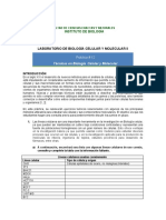 P2 - Técnicas en Biología Molecular