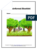 Rainforest Worksheets