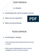 Plexo Cervical