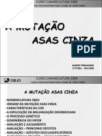 A Mutação Asas Cinza Marcio Fernandes Itatiba Fev - 2009