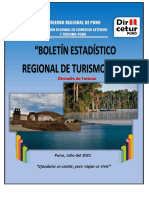 Boletín Estadístico 2020 Región Puno Corregido