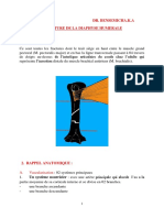 Fracture Du Diaphyse Del'humerus