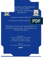 Informe Final PP