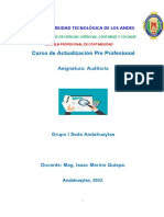 Manual de Auditoria