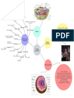 Mapa Mental de La Célula Eucariota