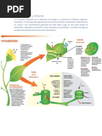 Organismo y Ambiente PART 4