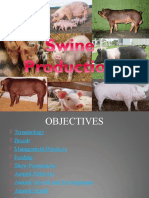 Swine Production