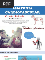 Paulo Anatomia Cardiovascular