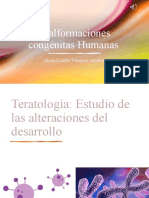 Malformaciones Congénitas Humanas