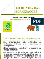 Aula 3 - Ciclo de Vida Das Organizações