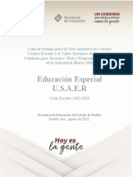 Guía Puebla - USAER. Fase Intensiva Del Consejo Técnico Escolar y El Taller Intensivo de Formación Continua para Docentes Educación Especial