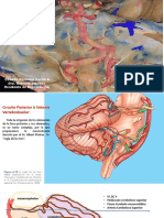 Circuito Posterior