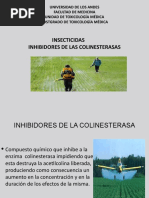 Inhibidores Colinesterasa