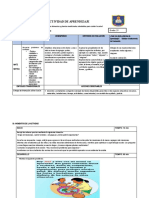 Actividad Organizamos Plantas Medicinales.