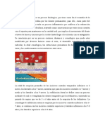 Proceso Histológico de Erupción Dentaria