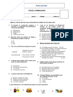 Evaluación - Fatiga y Somnolencia