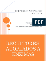 Receptores Acoplados A Enzimas Compress