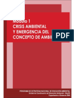 Crisis Ambiental y Emergencia Del Concepto de Ambiente