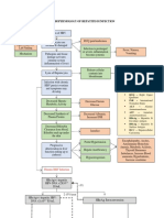 Pathophysiology of Hepatitis B Infection