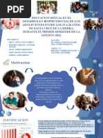 Educacion Sexual Proyecto Final