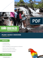 Caño Cristales Temporada 2022 - 5 Días 4 Noches