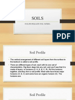 SOILS Profile and Catena