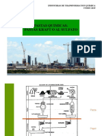 Pastas - Quimicas - Kraft Al Sulfato Sulfate - 2019