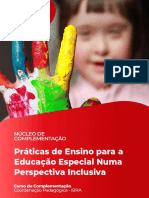 Práticas de Ensino para A Educação Especial Numa Perspectiva Inclusiva