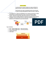 Diabetes Mellitus