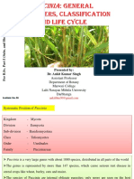 Puccinia