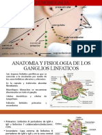 Abordaje Del Paciente Con Adenomegalia