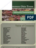 Common Ohio Trees