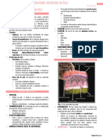 Anatomo-Histologia Da Pele