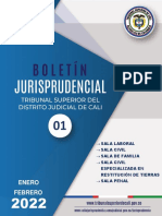 Boletín Jurisprudencial Tribunal Cali Enero Febrero 2022