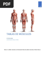 Tabla de Musculos Por Regiones