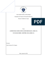 AS PRINCIPAIS LIMITAÇÕES DA HISTORIOGRAFIA AFRICANA Um Olhar Sobre A História Moçambicana