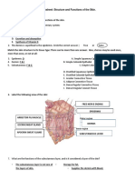 Integumentary System Worksheet 1