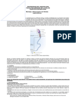 Practica de Observacion de Celulas Espermaticas