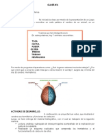 Clase N°4 Hemisferios