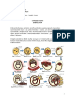 Guia de Estudio Histoembriologia. Parte 1. Semana 1-4