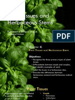 Exercise 4 - Tissues and Herbaceous Stems Prelab