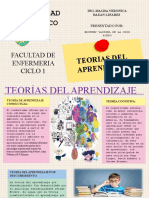 Teoria Del Aprendizaje Infografia de La Cruz Acero Britney - Udh