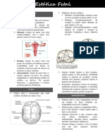 Estática Fetal