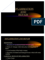 Pathology Inflammation