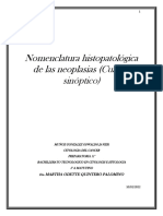 Actividad 1.4 Nomenclatura Histopatológica de Las Neoplasias