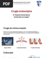 Cirugía Endoscópica