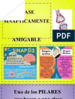 Clase Sinapticamente Amigable - (Clase 4)