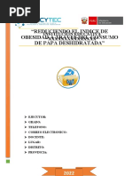 Reduciendo El Indice de Obesidad A Traves Del Consumo de Papa Deshidratada